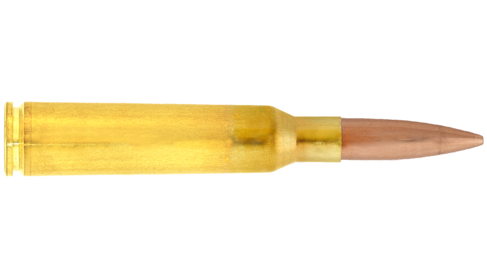 4316039 6.5x55 SE cartridge Scenar L GB547
