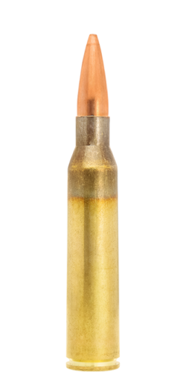 .338 Lapua Mag. / 16.2 g (250 gr) Scenar target tactical ammunition