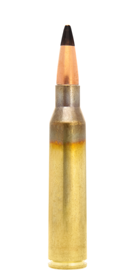 4318035-338-Lapua-Magnum-cartridge-Armor-Piercing-AP485