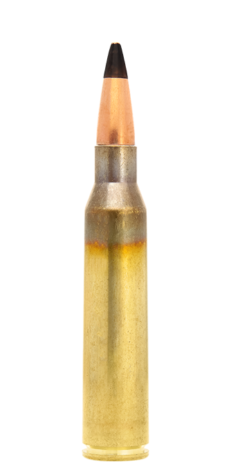 4318035-338-Lapua-Magnum-cartridge-Armor-Piercing-AP485