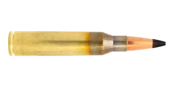 4318035-338-Lapua-Magnum-cartridge-Armor-Piercing-AP485