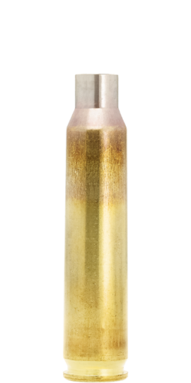 .223 Rem. match class brass