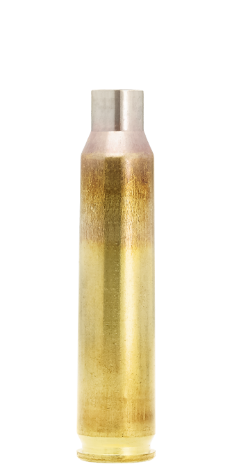 .223 Rem. match class brass