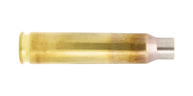.223 Rem. match class brass