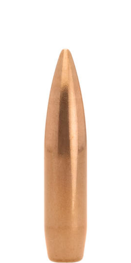 4PL6000-Lapua FMJBT bullet B343