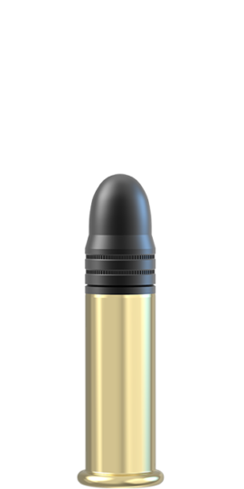 Lapua 22lr rimfire cartridge