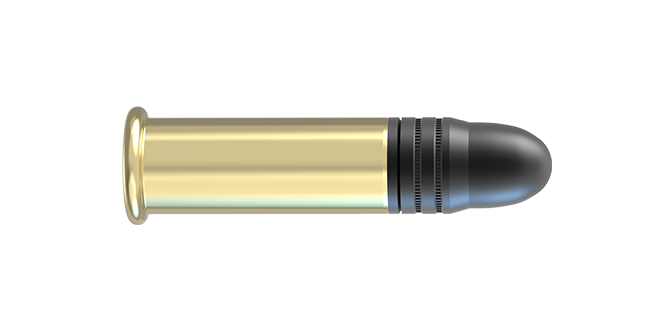 Lapua 22lr biathlon rimfire cartridge