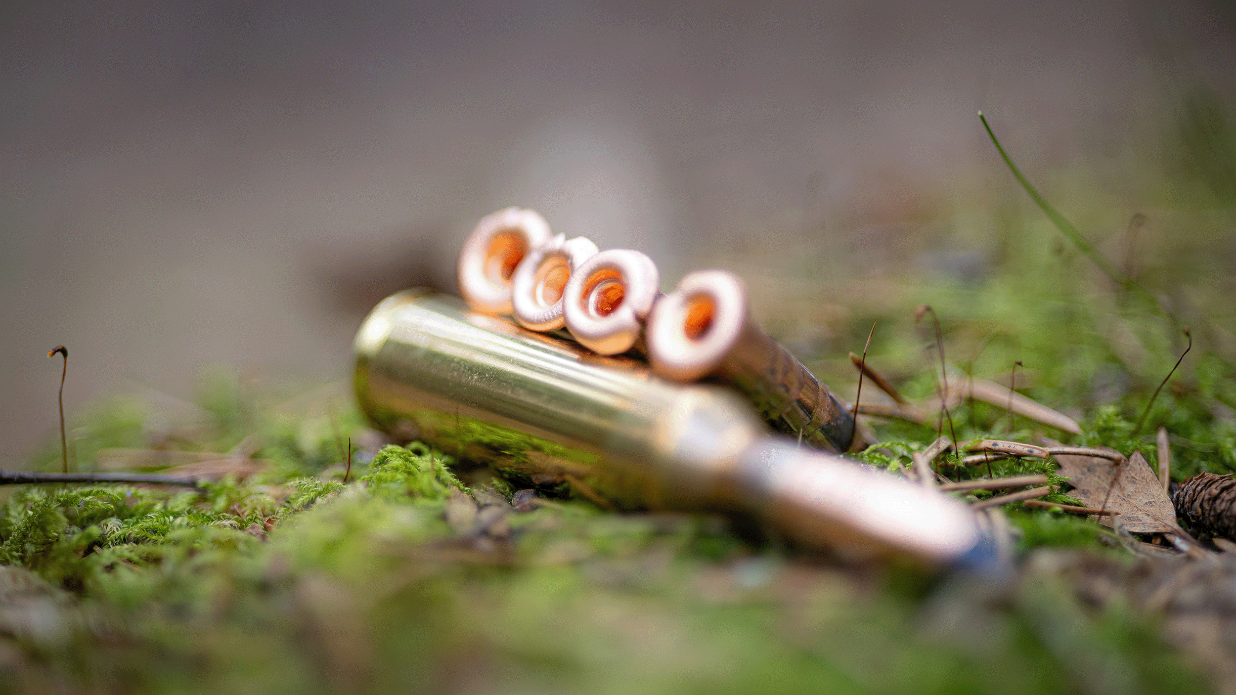 Lapua TRX - Hunting Bullet - image
