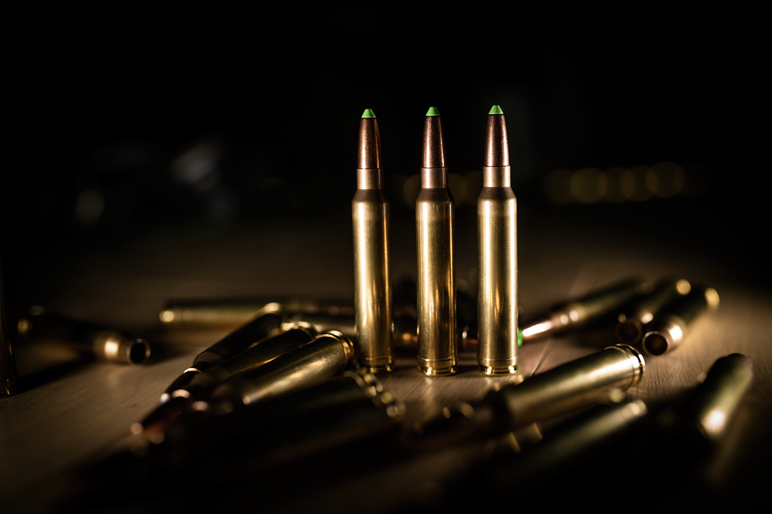 Cal .300 Win Mag | Naturalis | Lapua