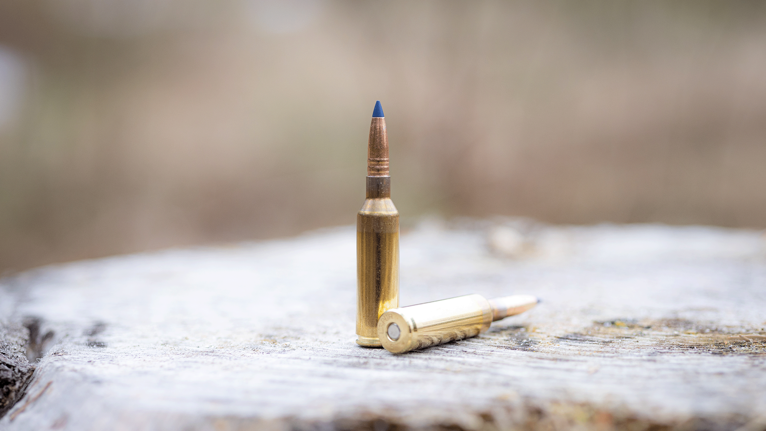 TRX | Truerange Expanding | Lapua | 6.5 | Cartridge | Bullet